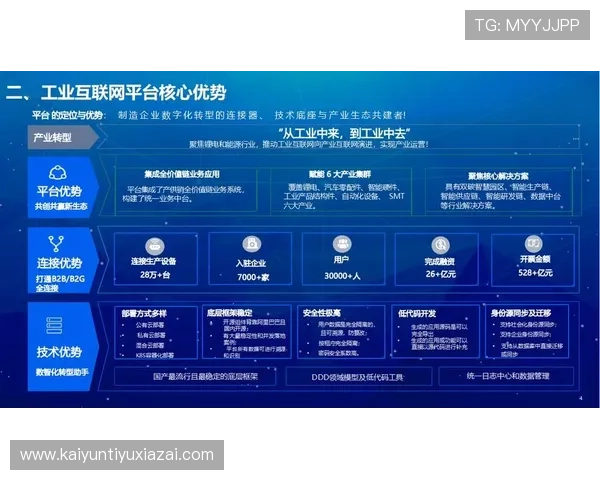 开云中国关网：行业监管加强背景下企业数字化转型的必要性与实践路径