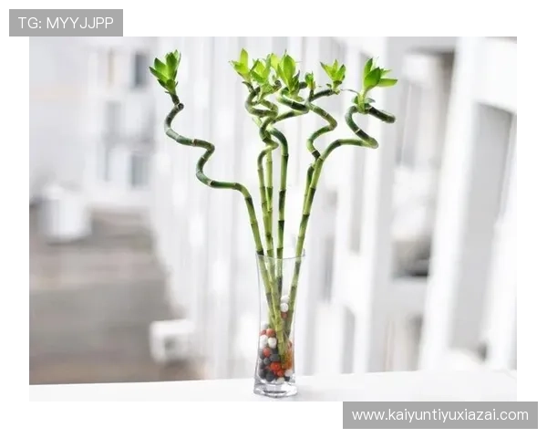 如何通过摆放开运竹改善家居风水，实现财运与健康双丰收